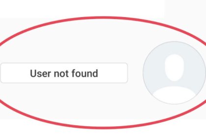 instagram user not found but can see profile picture